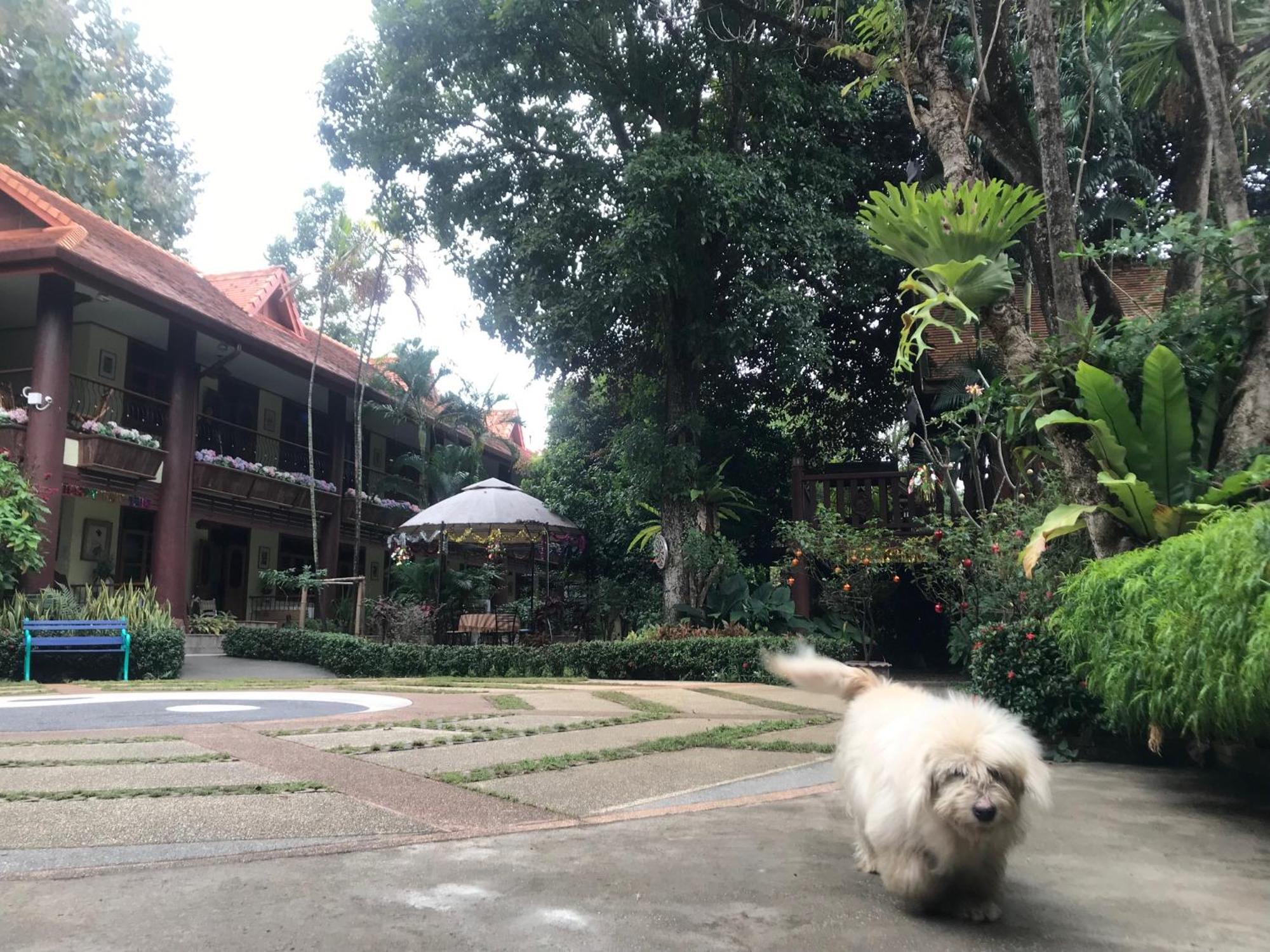 Kawila126 Hotel Chiang Mai Buitenkant foto